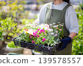 日本婦女種植花苗 139578557