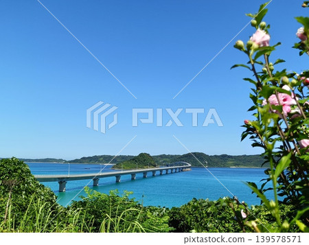 A beautiful summer scene in Yamaguchi Prefecture, featuring the Tsunoshima Bridge, the Tsunoshima blue sea, the sky, and lush greenery. A beautiful summer scene in Yamaguchi Prefecture, featuring the Tsunoshima Bridge, the Tsunoshima blue sea, the sky, and lush greenery. 139578571