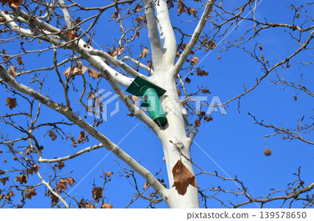 Birdhouse on Bare Tree Against Blue Sky Birdhouse on Bare Tree Against Blue Sky 139578650