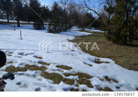 Melting snow in a winter park landscape Melting snow in a winter park landscape 139578657