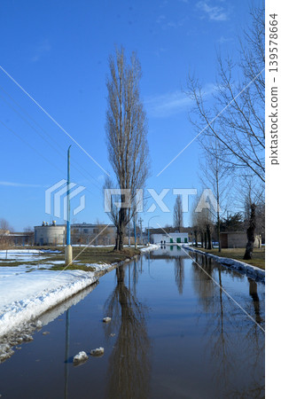 Flooded winter path lined with bare trees Flooded winter path lined with bare trees 139578664