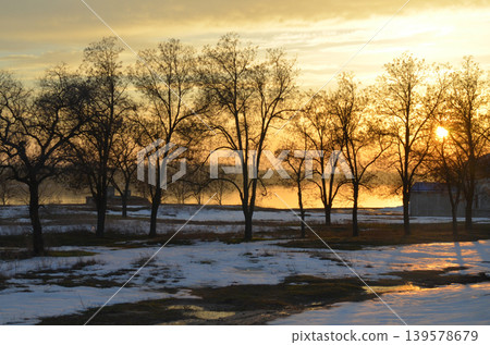 Winter Sunset Over Bare Trees by the Water Winter Sunset Over Bare Trees by the Water 139578679