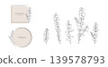 A simple and stylish vector illustration set of hand-drawn eucalyptus lines and frames. A simple and stylish vector illustration set of hand-drawn eucalyptus lines and frames. 139578793