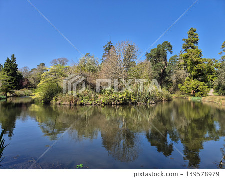 Serene pond with trees and reflections under blue sky 139578979