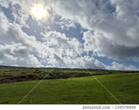 Green pasture beneath dramatic cloudy sky Green pasture beneath dramatic cloudy sky 139578989