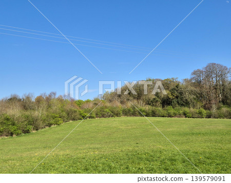 Green meadow under clear blue sky Green meadow under clear blue sky 139579091