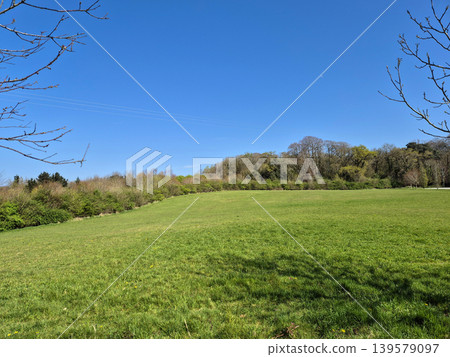 Open green meadow under clear blue sky Open green meadow under clear blue sky 139579097