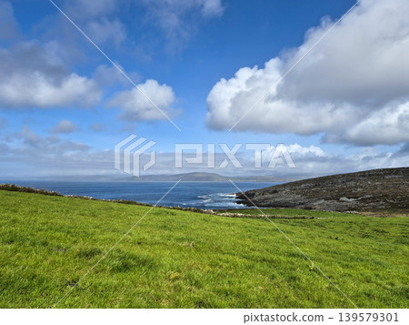 Green coastal meadow under dramatic cloudy sky 139579301
