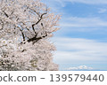 櫻花和Chokai 139579440