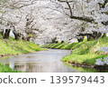 櫻花的風景 139579443