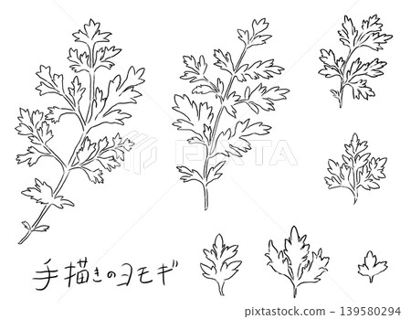 一組手繪艾草葉的線條藝術插圖。 139580294