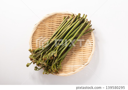 【秋田縣】蕨菜（去苦前） 139580295