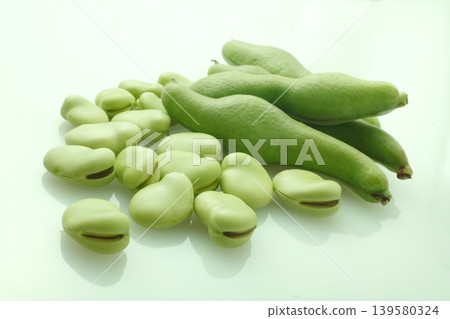 Broad beans (studio photography) 139580324