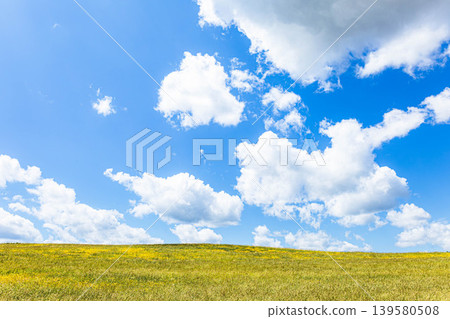 The summer scenery of Biei, Hokkaido, with its blue sky and flowing clouds, evokes the feeling of the wind on the hillside. The summer scenery of Biei, Hokkaido, with its blue sky and flowing clouds, evokes the feeling of the wind on the hillside. 139580508