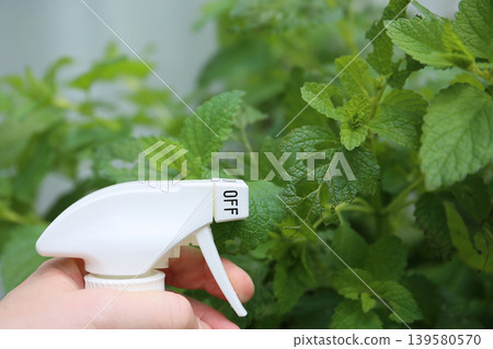 Garden pests, pest control Garden pests, pest control 139580570