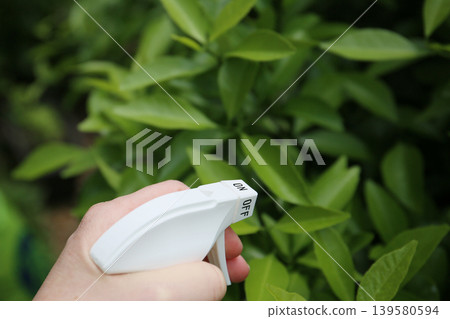 Garden pests, pest control Garden pests, pest control 139580594