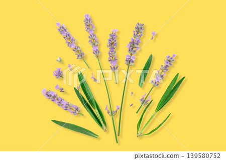 Lavender flowers with green stems arranged on bright background 139580752