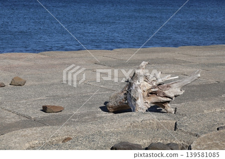 Sharp driftwood Sharp driftwood 139581085
