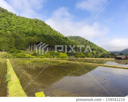 A landscape of rice paddies with seedlings planted in Miyama-cho, Nantan City, Kyoto Prefecture. 139581210