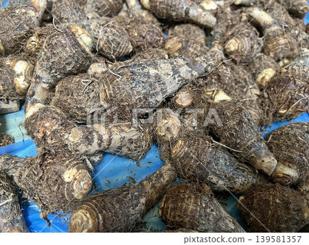 拍攝剛從市場買回來的新鮮小芋頭 拍攝剛從市場買回來的新鮮小芋頭 139581357