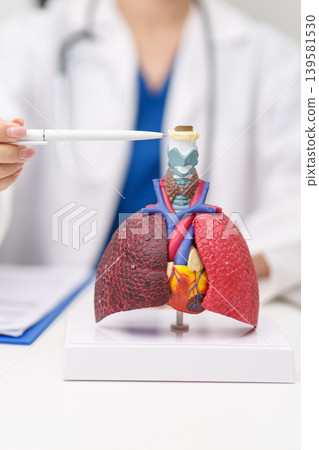 Doctor pointing Hyoid Bond of Respiratory system anatomy for Diseases. Lung Cancer, Asthma, Chronic Obstructive Pulmonary or COPD, Bronchitis, Emphysema, Cystic Fibrosis, Bronchiectasis and Pneumonia Doctor pointing Hyoid Bond of Respiratory system anatomy for Diseases. Lung Cancer, Asthma, Chronic Obstructive Pulmonary or COPD, Bronchitis, Emphysema, Cystic Fibrosis, Bronchiectasis and Pneumonia 139581530