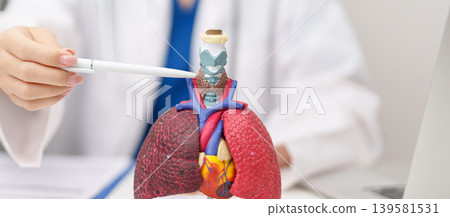 Doctor with Thyroid of Respiratory system anatomy for Diseases. Lung Cancer, Asthma, Chronic Obstructive Pulmonary or COPD, Bronchitis, Emphysema, Cystic Fibrosis, Bronchiectasis and Pneumonia 139581531