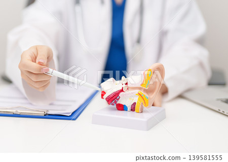 Doctor with human Ear anatomy model. Ear disease, Atresia, Otitis Media, Pertorated Eardrum, Meniere syndrome, otolaryngologist, Ageing Hearing Loss, Schwannoma and Healthcare medical concept 139581555