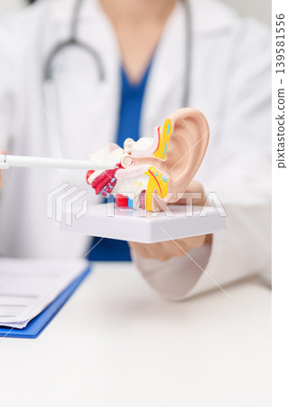 Doctor with human Ear anatomy model. Ear disease, Atresia, Otitis Media, Pertorated Eardrum, Meniere syndrome, otolaryngologist, Ageing Hearing Loss, Schwannoma and Healthcare medical concept Doctor with human Ear anatomy model. Ear disease, Atresia, Otitis Media, Pertorated Eardrum, Meniere syndrome, otolaryngologist, Ageing Hearing Loss, Schwannoma and Healthcare medical concept 139581556