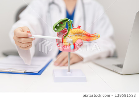Doctor with human Pancreatitis anatomy model with Pancreas, Gallbladder, Bile Duct, Duodenum, Small intestine. Pancreatic cancer, Acute and Chronic pancreatitis, Digestive system and Health concept Doctor with human Pancreatitis anatomy model with Pancreas, Gallbladder, Bile Duct, Duodenum, Small intestine. Pancreatic cancer, Acute and Chronic pancreatitis, Digestive system and Health concept 139581558