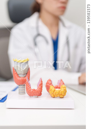 Doctor with human Thyroid anatomy model. Hyperthyroidism, Hypothyroidism, Hashimoto Thyroiditis, Thyroid Tumor and Cancer, Postpartum, Papillary Carcinoma and Health concept Doctor with human Thyroid anatomy model. Hyperthyroidism, Hypothyroidism, Hashimoto Thyroiditis, Thyroid Tumor and Cancer, Postpartum, Papillary Carcinoma and Health concept 139581573