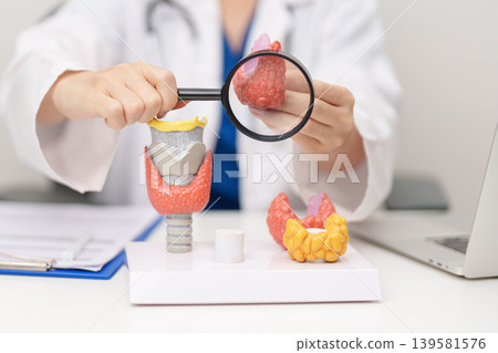 Doctor with human Thyroid anatomy model. Hyperthyroidism, Hypothyroidism, Hashimoto Thyroiditis, Thyroid Tumor and Cancer, Postpartum, Papillary Carcinoma and Health concept 139581576