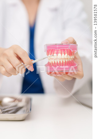 Dentist with tooth Anatomy model. Oral Teeth and disease, Scrape off tartar. March Oral health, Dentist Day, False Teeth. Toothache and Children Dental Health Month and Orthodontic Health Day 139581578