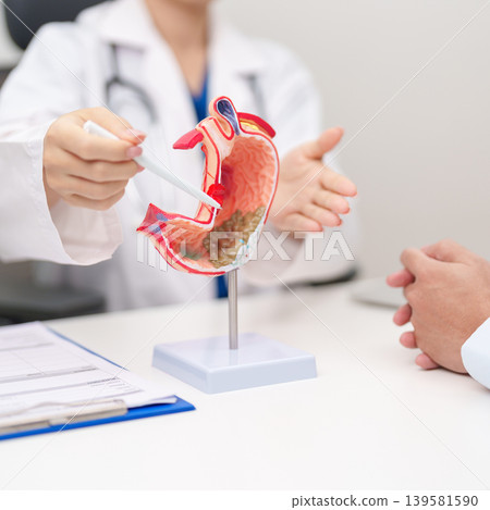 Doctor with Gastric anatomy model. Gastroenterologist consultation, stomach diseases and ulcers, November stomach cancer, Gastroesophageal Reflux Disease, GERD, Acid reflux and healthcare medical 139581590