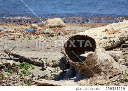 Hollow driftwood Hollow driftwood 139581639