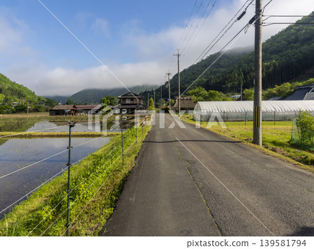 Satoyama landscape with paddy fields Satoyama landscape with paddy fields 139581794