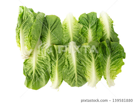 Romaine lettuce salad leaves isolated. Cos green leaves, fresh romain salat, raw romaine cabbage Romaine lettuce salad leaves isolated. Cos green leaves, fresh romain salat, raw romaine cabbage 139581880