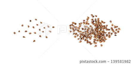 Grape seeds ready for oil extraction Grape seeds ready for oil extraction 139581982