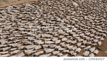 Drying fish on beach, many salted fish 139582427