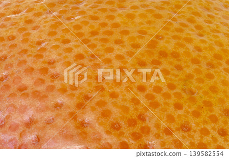 Grapefruit skin macro texture, orange citrus fruit peel detailed pattern Grapefruit skin macro texture, orange citrus fruit peel detailed pattern 139582554