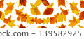 Autumn leaves seamless pattern, oak tree foliage vector background 139582925