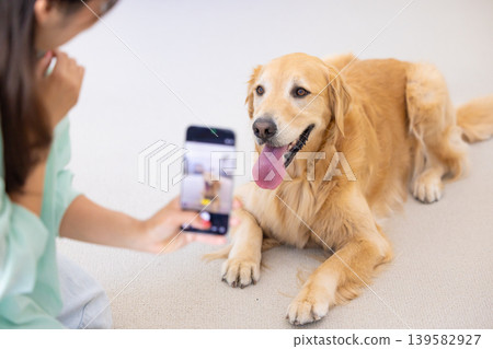 寵物,狗,金毛尋回犬,主人在客廳給寵物拍照。 寵物,狗,金毛尋回犬,主人在客廳給寵物拍照。 139582927