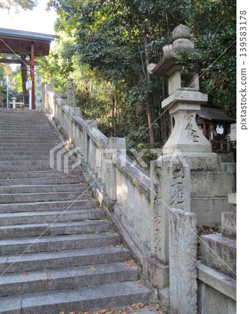 2014, Kagawa, Kanonji, Hachiman, Scenery, Shrine, Kotobiki Hachimangu Shrine, Part 70 2014, Kagawa, Kanonji, Hachiman, Scenery, Shrine, Kotobiki Hachimangu Shrine, Part 70 139583178