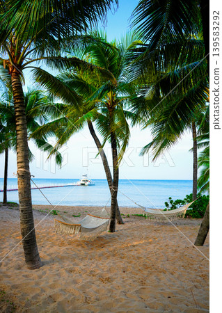 Hammock on sea beach resort. Island holiday. Hammock under palm trees on tropical at ocean Hammock on sea beach resort. Island holiday. Hammock under palm trees on tropical at ocean 139583292