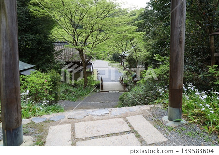 A view of the grounds of Hyuga Grand Shrine in Yamashina Ward, Kyoto City. A view of the grounds of Hyuga Grand Shrine in Yamashina Ward, Kyoto City. 139583604