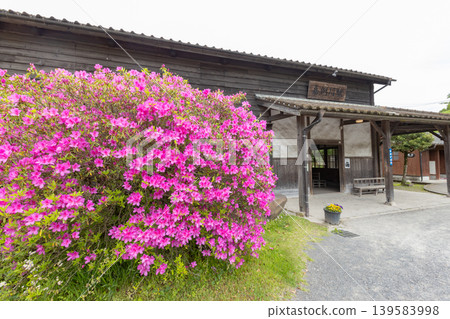 鹿兒島縣霧島市的觀光景點－鹿兒島站，春天杜鵑花盛開，車站的木製車站。 139583998