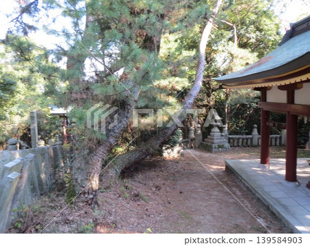 2014, Kagawa, Kanonji, Hachiman, Scenery, Shrine, Kotobiki Hachimangu Shrine, Part 80 2014, Kagawa, Kanonji, Hachiman, Scenery, Shrine, Kotobiki Hachimangu Shrine, Part 80 139584903