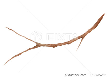 Watercolor tree branch isolated on white background, hand painted natural twig with organic shape and textured bark detail for botanical design, rustic decoration, packaging and clipart use Watercolor tree branch isolated on white background, hand painted natural twig with organic shape and textured bark detail for botanical design, rustic decoration, packaging and clipart use 139585296