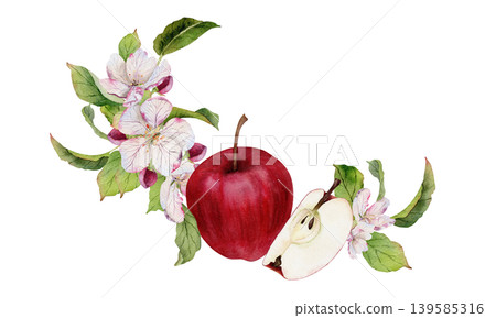 Hand painted watercolor composition with red apple, sliced half, delicate apple blossoms and green leaves, botanical spring fruit arrangement isolated on white, natural orchard harvest illustration Hand painted watercolor composition with red apple, sliced half, delicate apple blossoms and green leaves, botanical spring fruit arrangement isolated on white, natural orchard harvest illustration 139585316