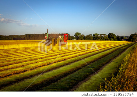 Flax fields in Normandy, France Flax fields in Normandy, France 139585784