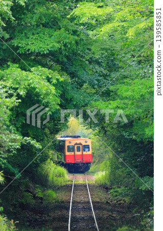 Kominato Railway: Yoro Valley to Kazusa-Okubo Station 139585851